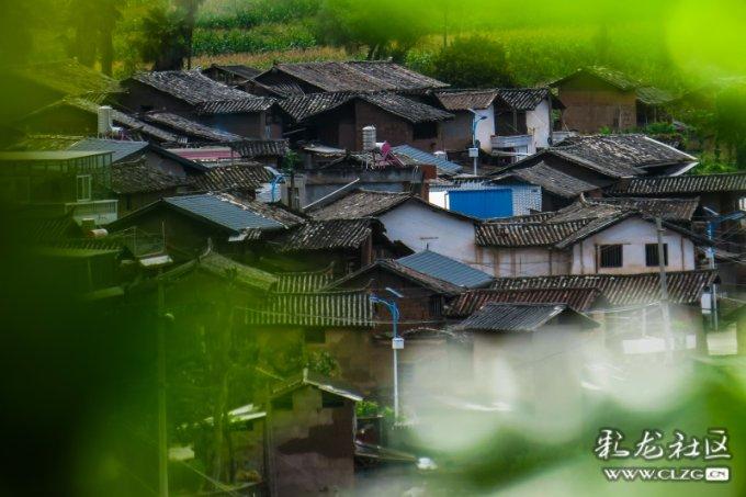 动词游戏