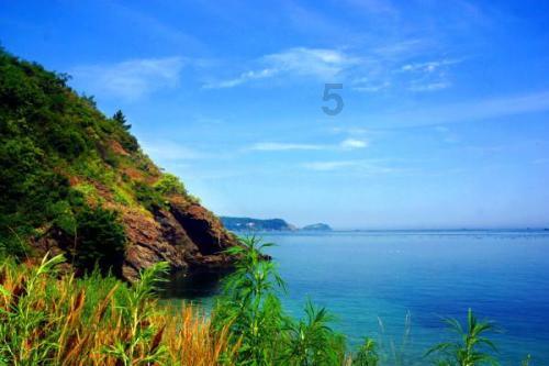 公主的夏季舞会