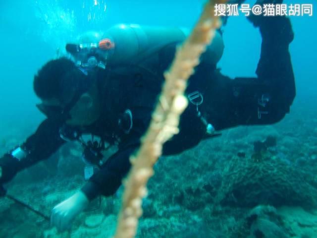 安庆市宜城烟草专卖局：“三化”运作护航春节市场